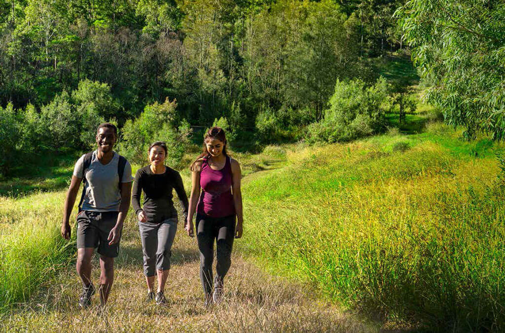 People bushwalking