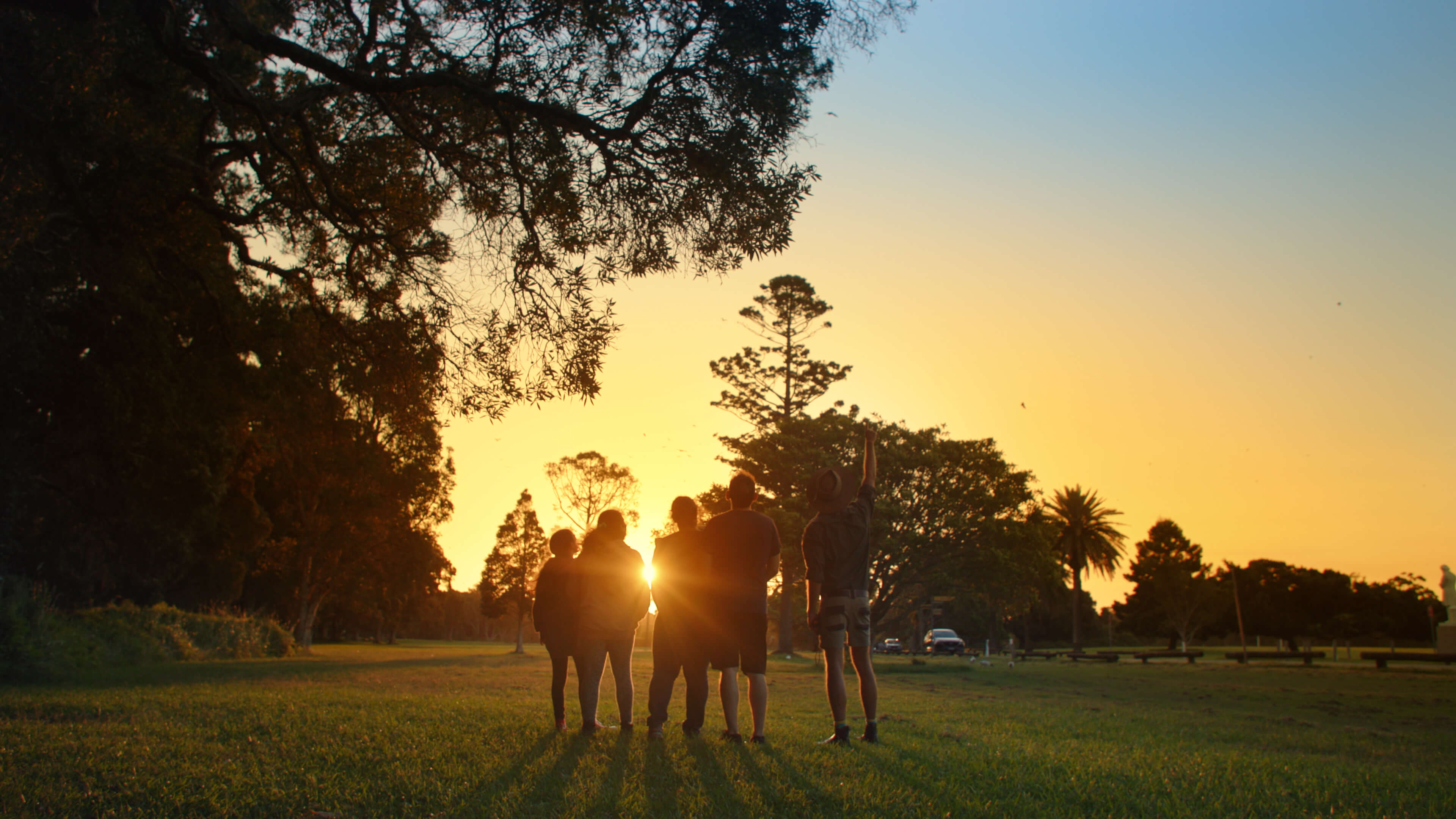 Sunset in the park.