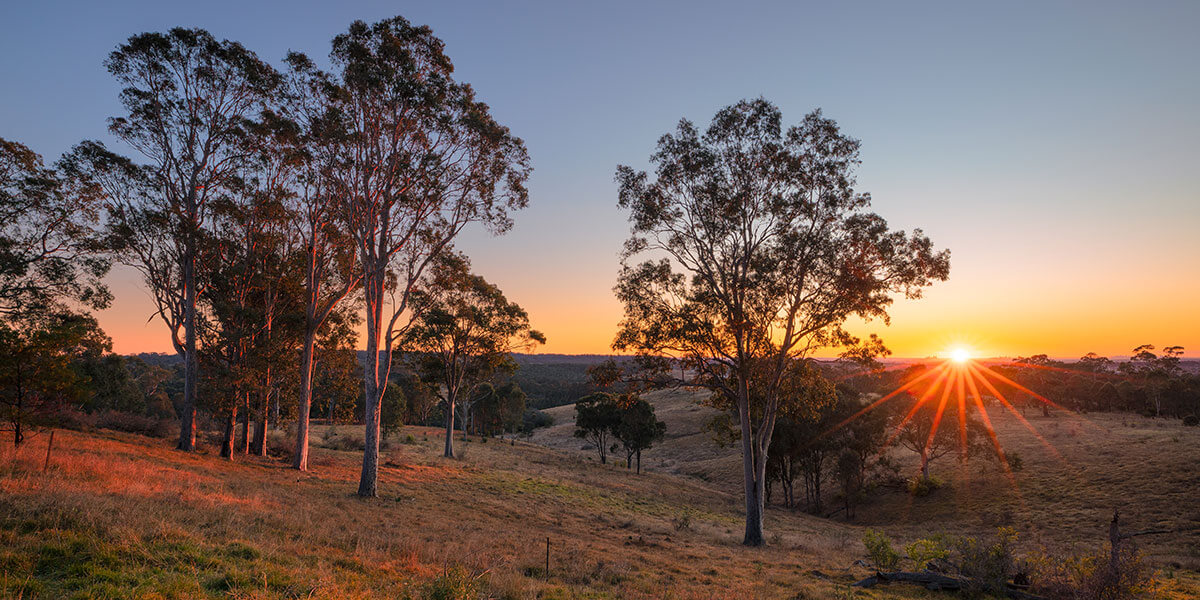 Sunset over mountains with tress in the foreground