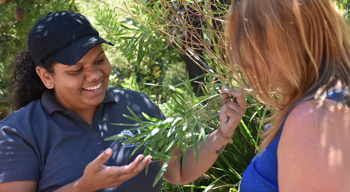 Indigenous park ranger showing tree type