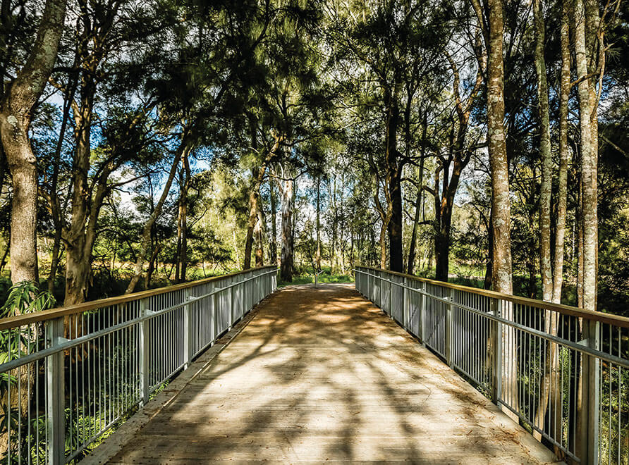 Lily Pond Bridge in Centennial Park