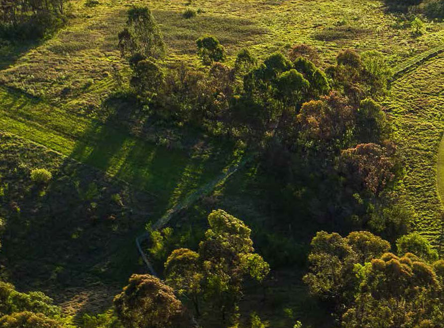 Aerial view of Greater Sydney Parklands