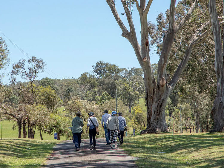 People walking thru parklands