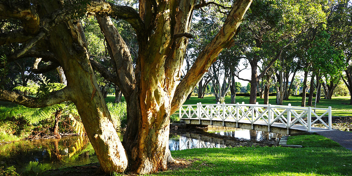 Lily Pond Bridge in Centennial Park