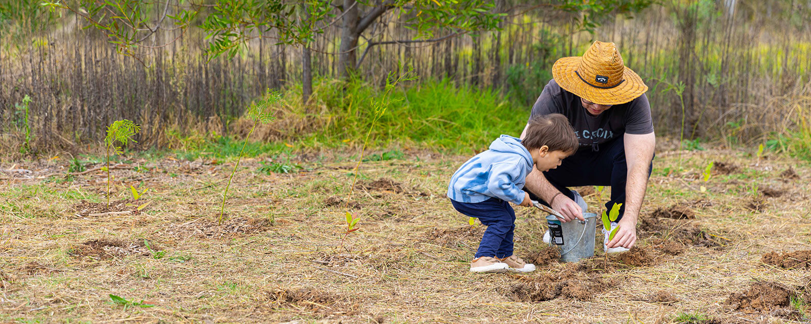 Nature play banner