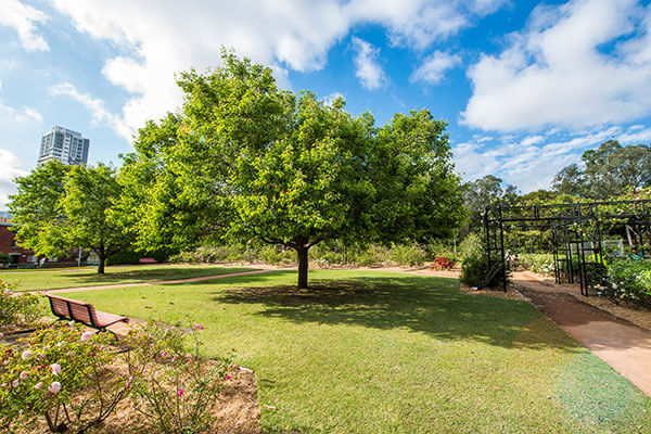 Park with city skyline, trees and bench