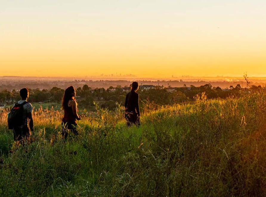 Young people bushwalking in the sunset