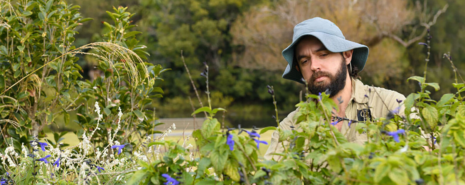 Horticulturist checking plants in park