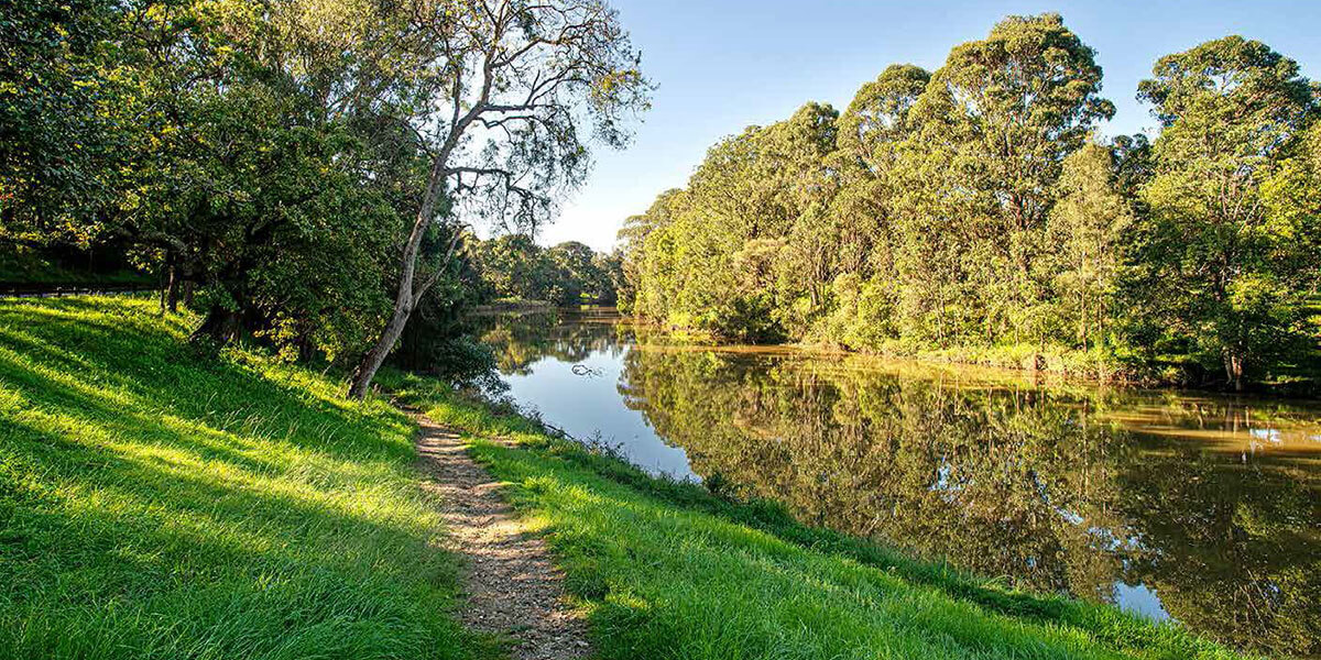 River in park