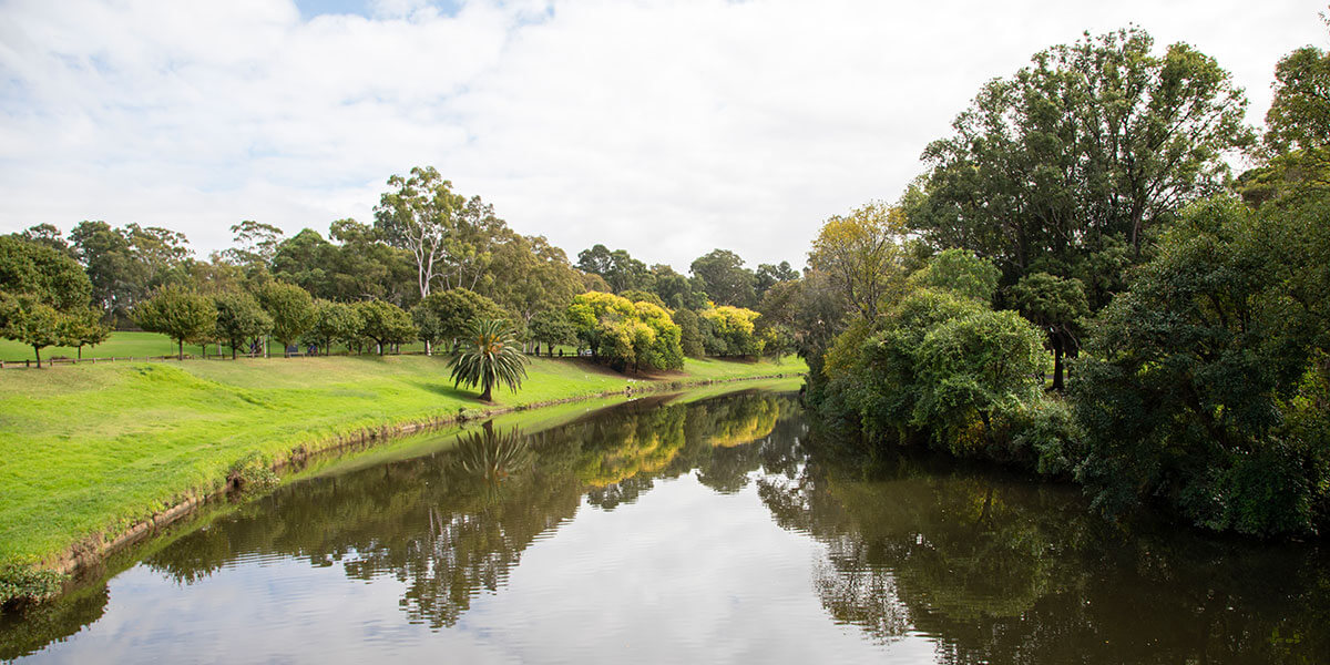 Parramatta Park