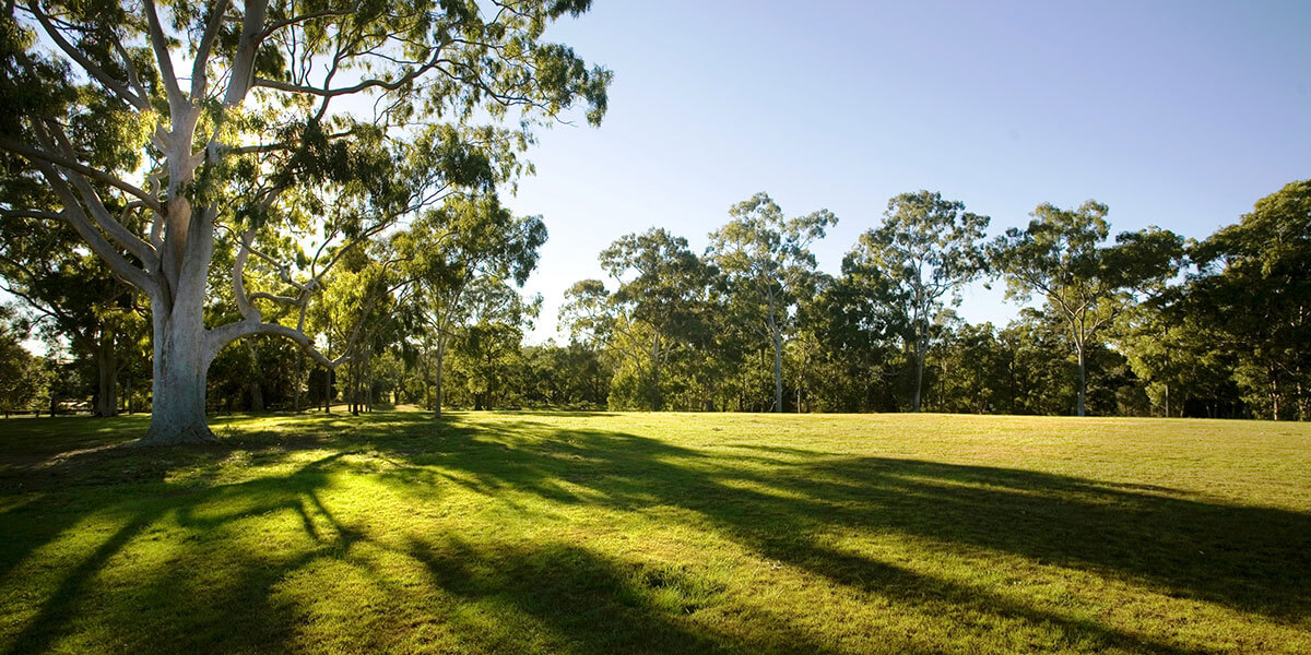 Parramatta Park landscape