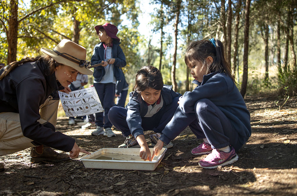 Teacher using classroom resources with school children in bush