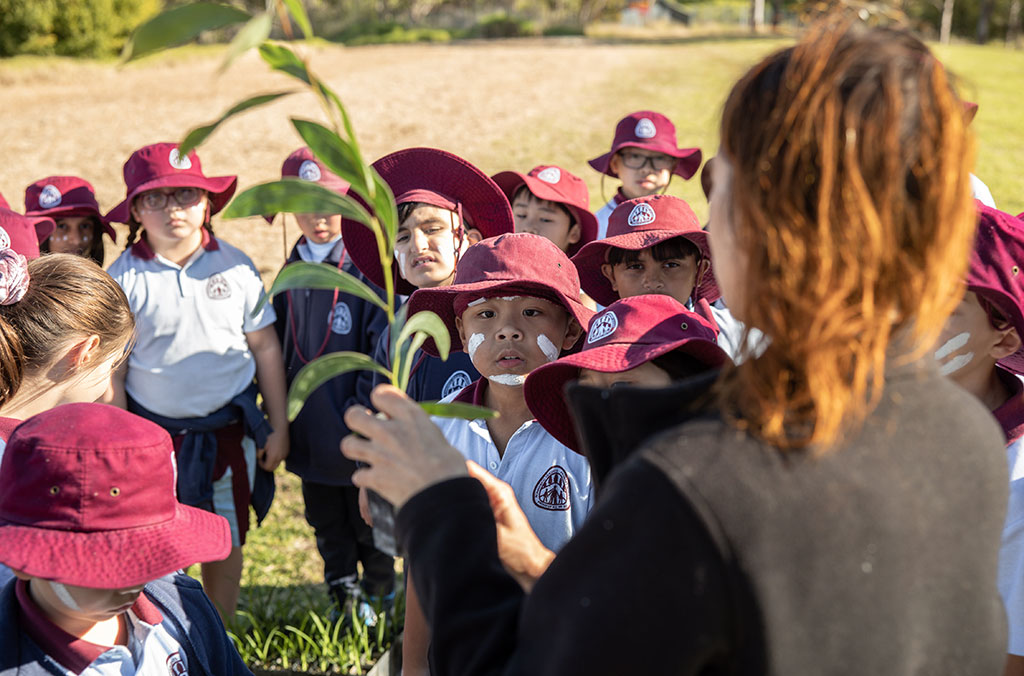 Group of school children in front of teacher giving lesson on bush care