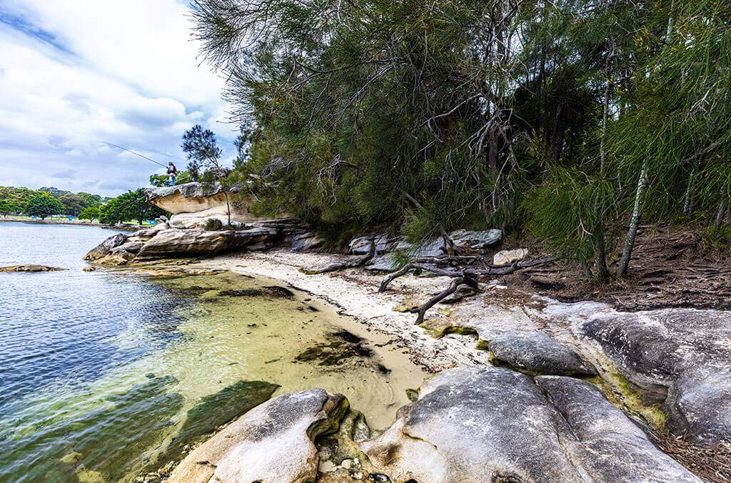 Shell middens