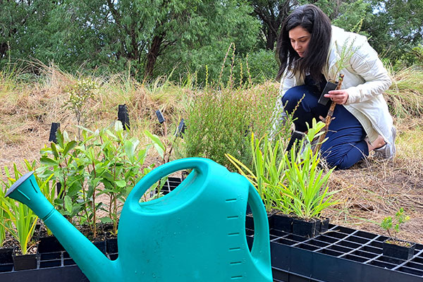 Woman planting tree in bushland