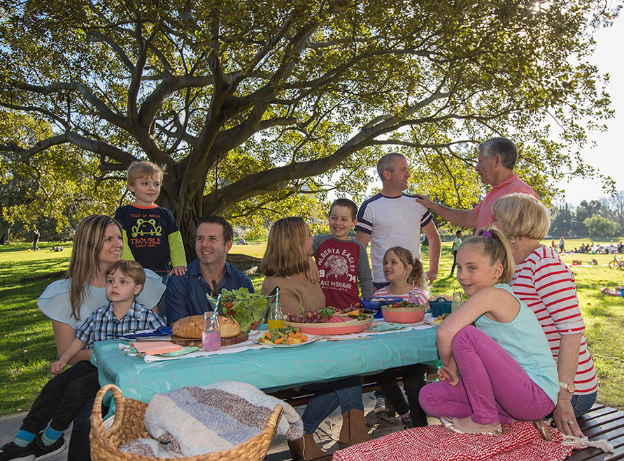 Family enjoying picnic at table in park