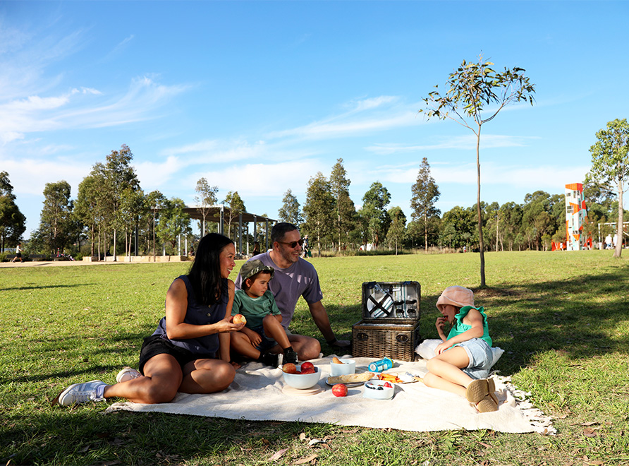 Family picnic