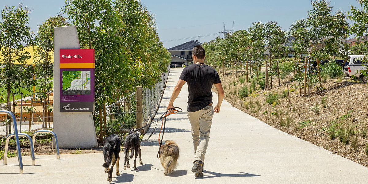 Man walking his 2 dogs at park