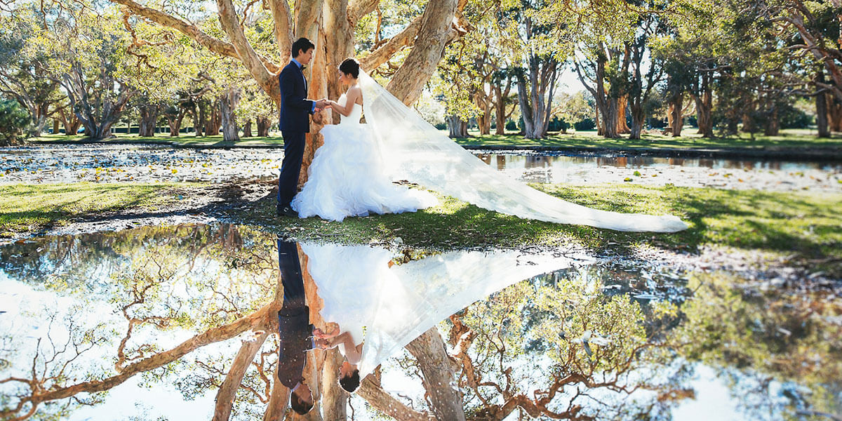 Wedding couple in park