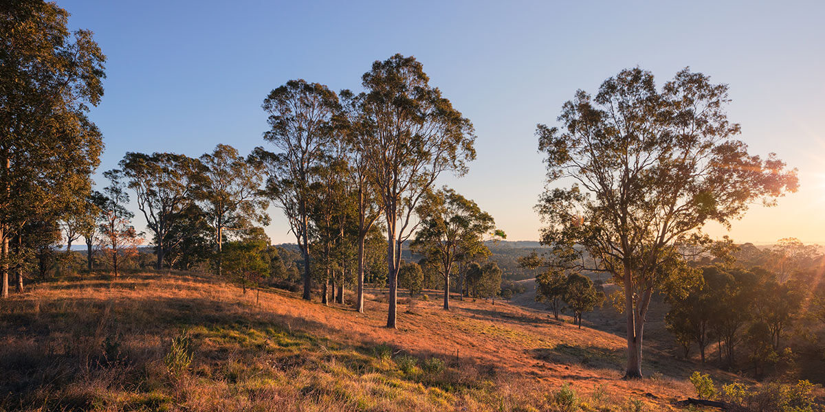 Western Sydney Parklands