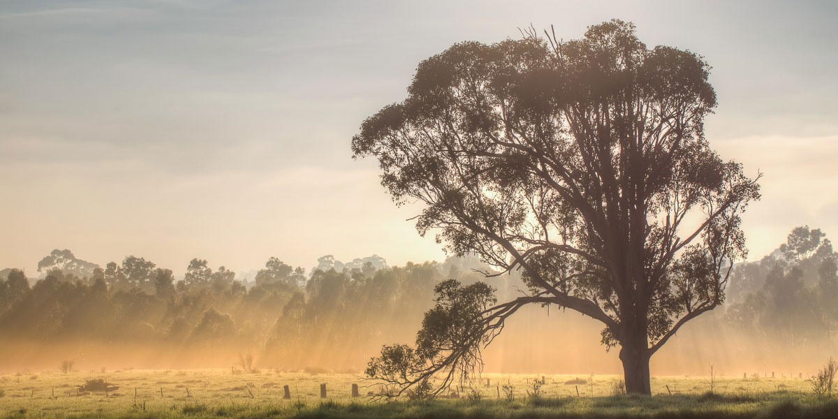 Western sydney parklands