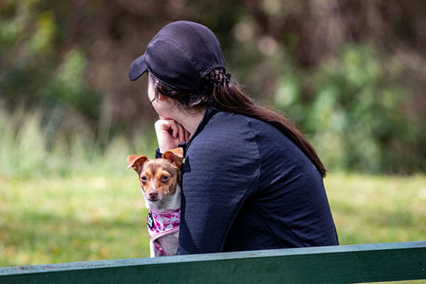 Small dog sitting on it's owner on a park bench