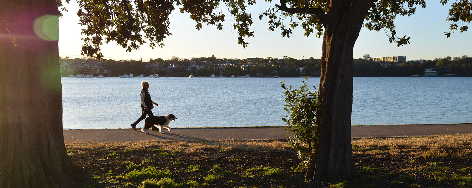Woman walking dog beside lake in park