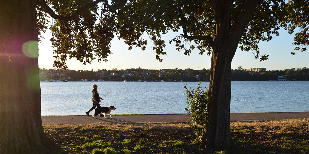 Woman walking dog beside lake in park