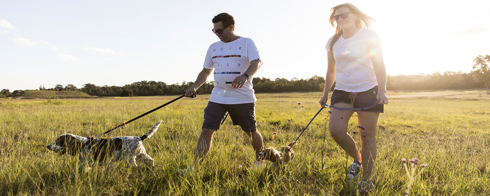 Couple walking their dogs in parkland