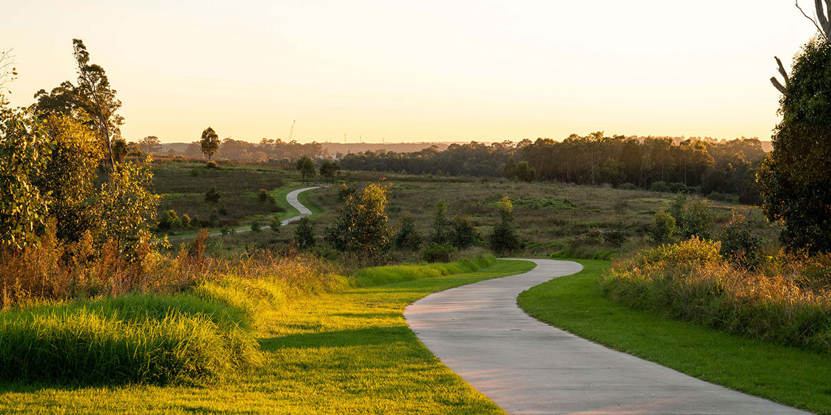 Path leading through bushland