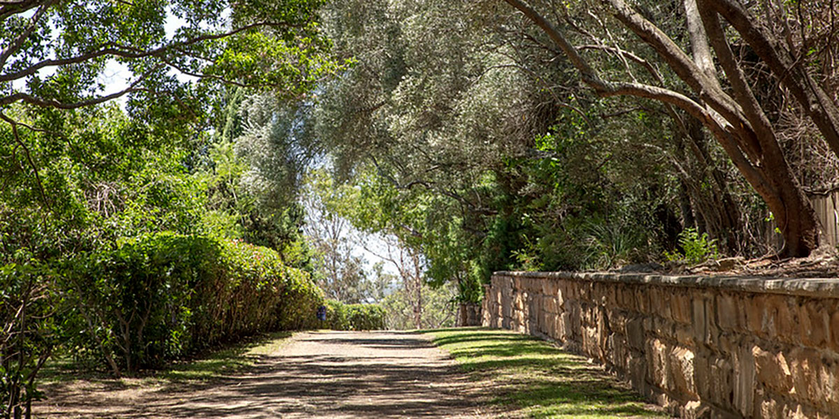 Road through parklands