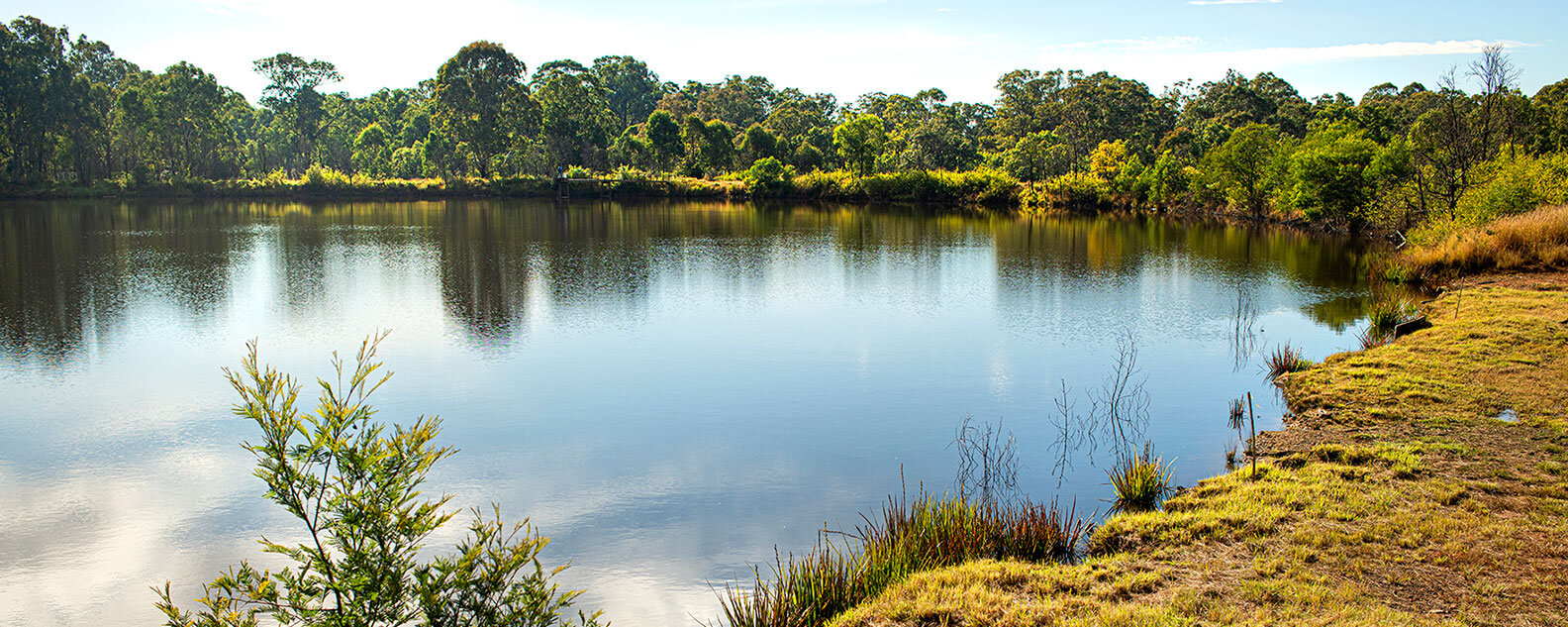 View of lake and bushland
