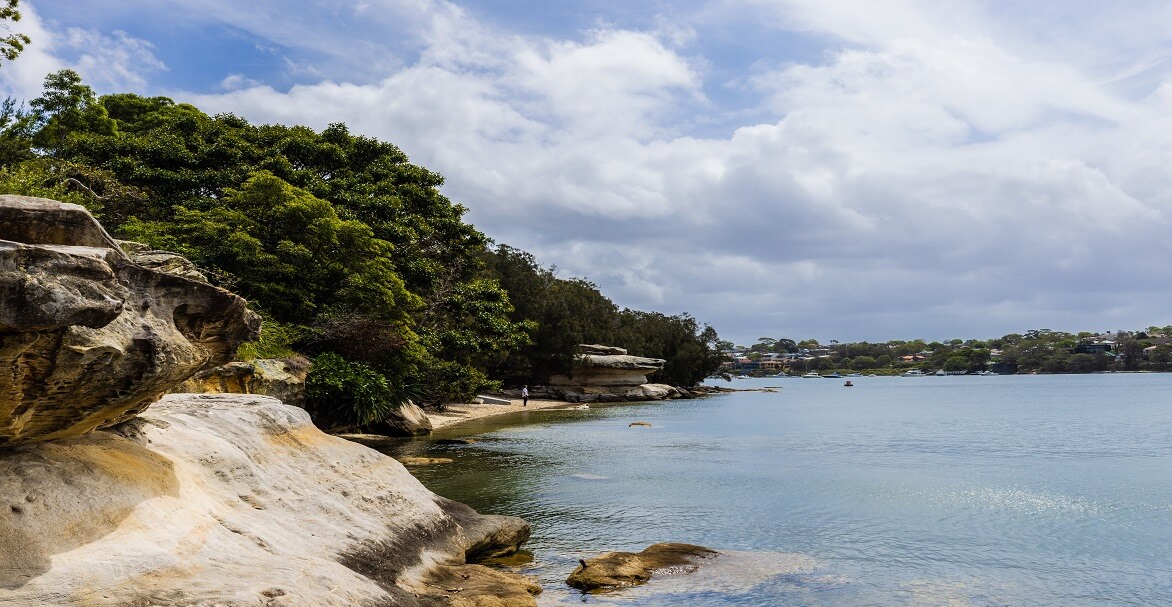 A person stands on the foreshore of the Parramatta River at Callan Park