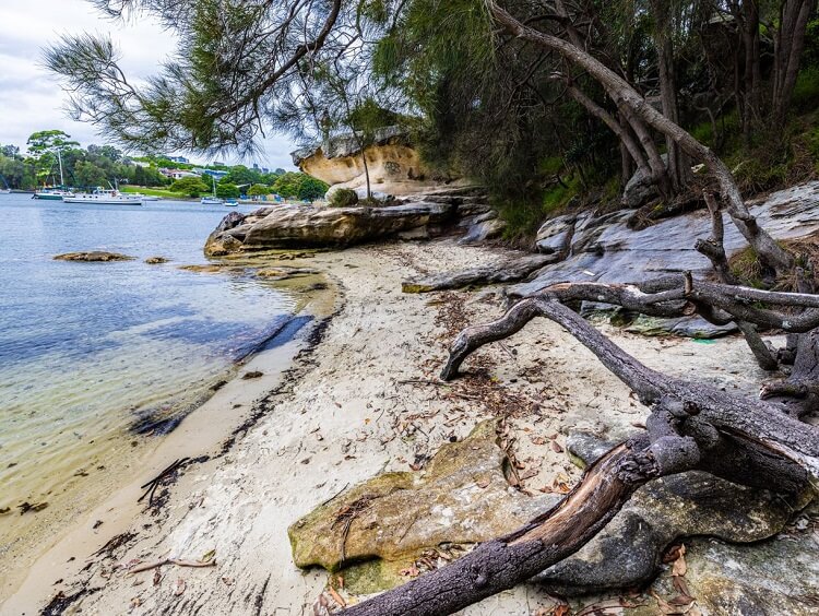 Sandy foreshore of the Parramatta River at Callan Park