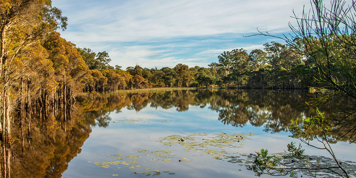 View of lake and bushland