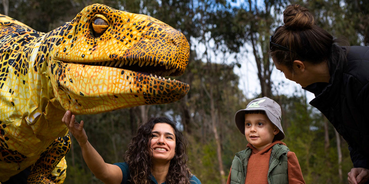 Child learning about dinosaurs