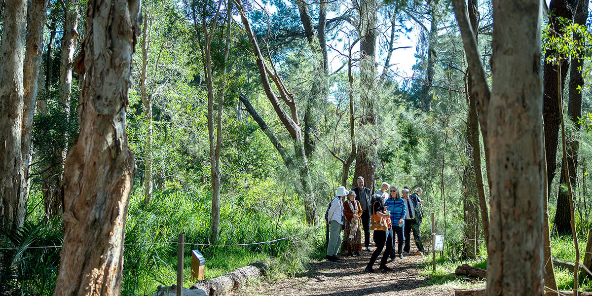 Centennial parklands