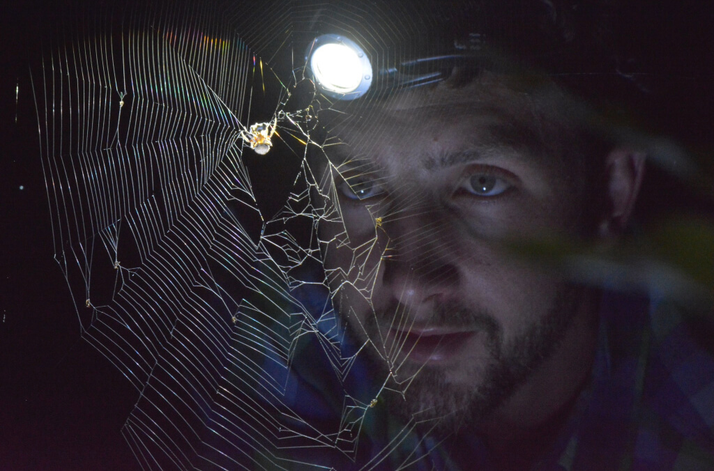 Man looking at a spiderweb with a headtorch
