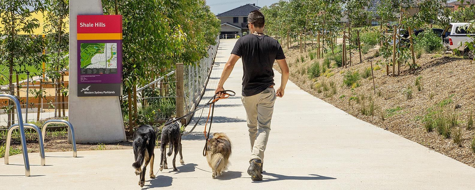 A man strolls with three dogs on a path at Shale Hills dog park.