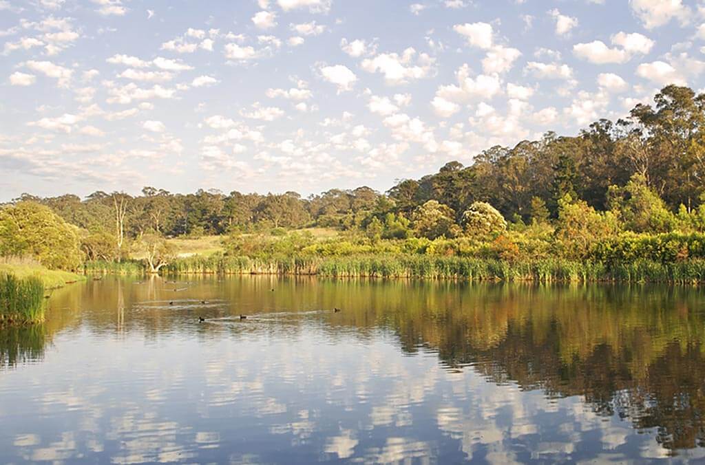 A peaceful lake bordered by trees and grass in Shale Hills.