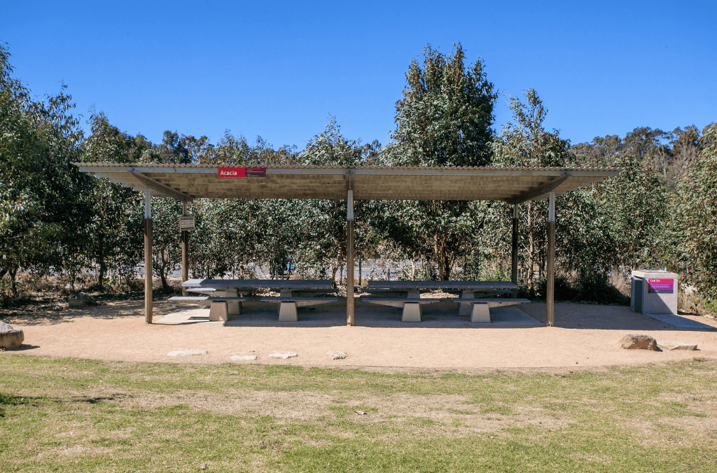 Acacia Shelter.