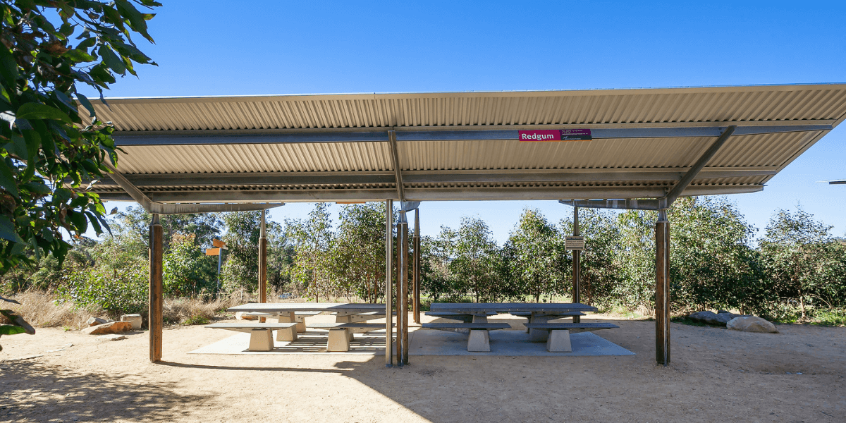Redgum picnic shelter at Western Sydney Parklands