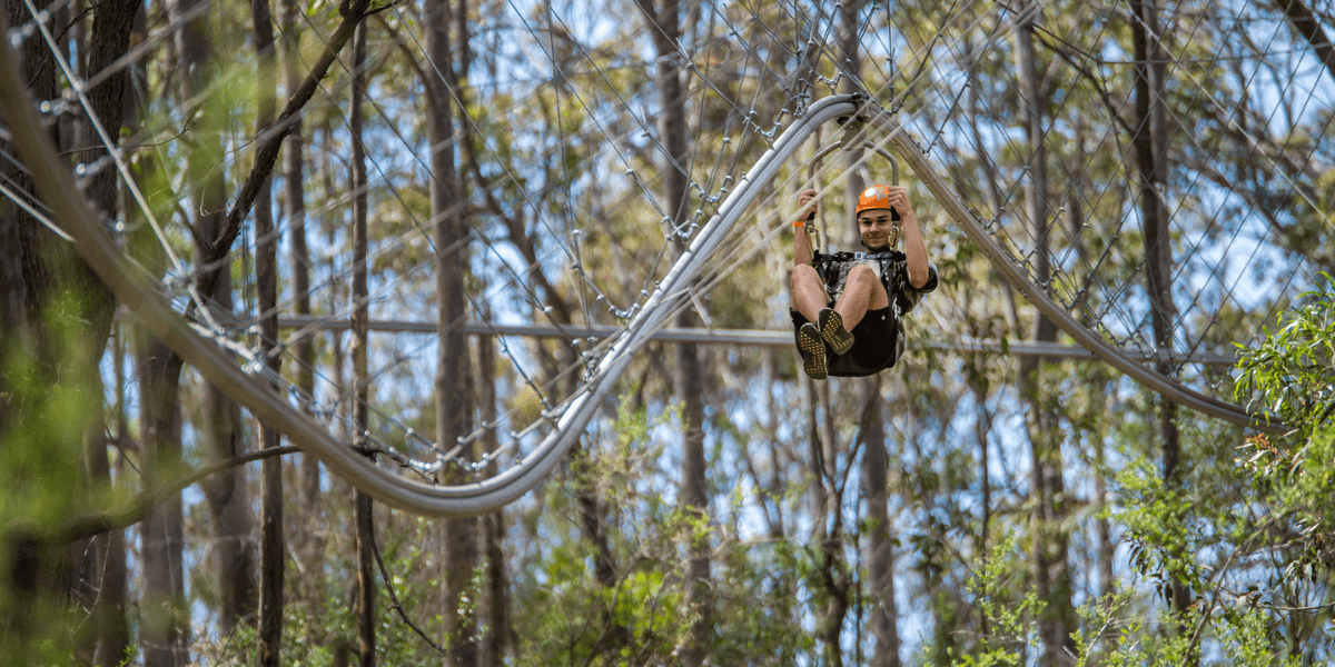 Treetops Adventure Western Sydney