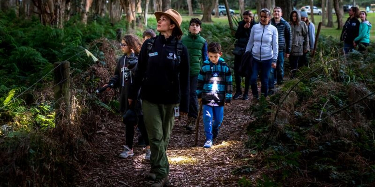 A group of people walking through the park looking for wildlife after dark