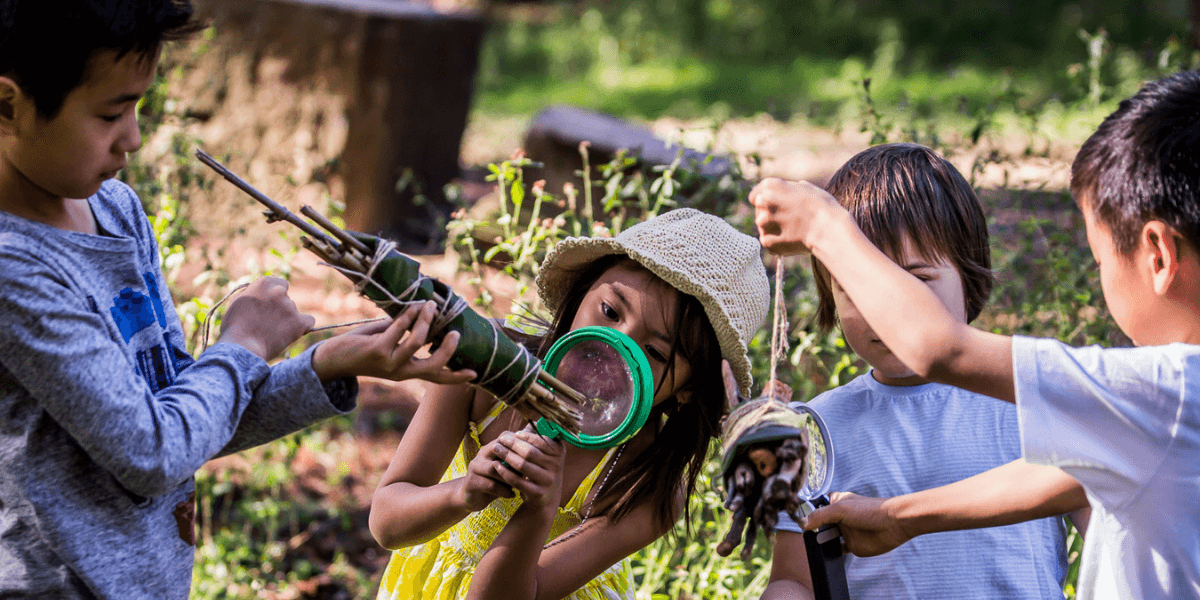 Park Rangers: The Power of Pollinators