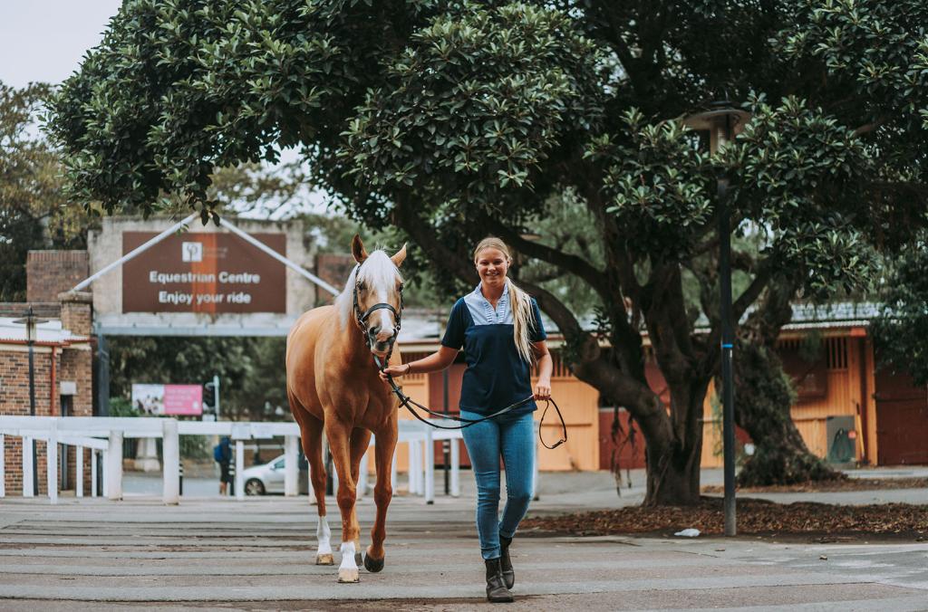 Woman walking horse in equestrian centre