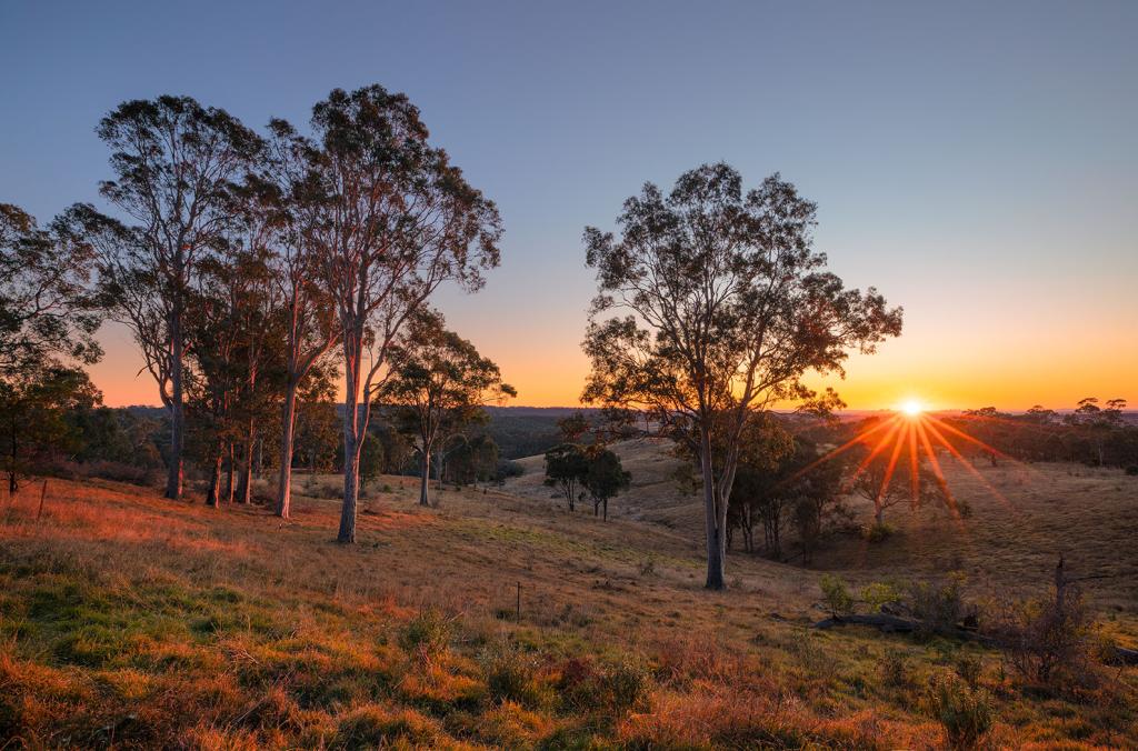 Sunset in Western Sydney Parklands.