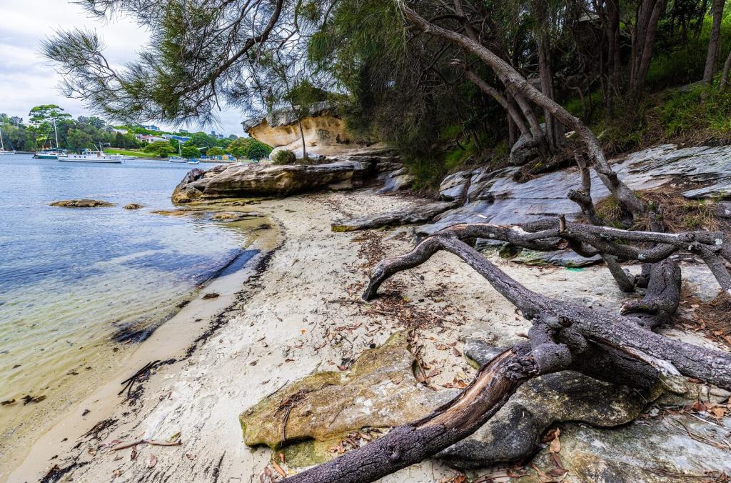 Sandy foreshore of the Parramatta River at Callan Park
