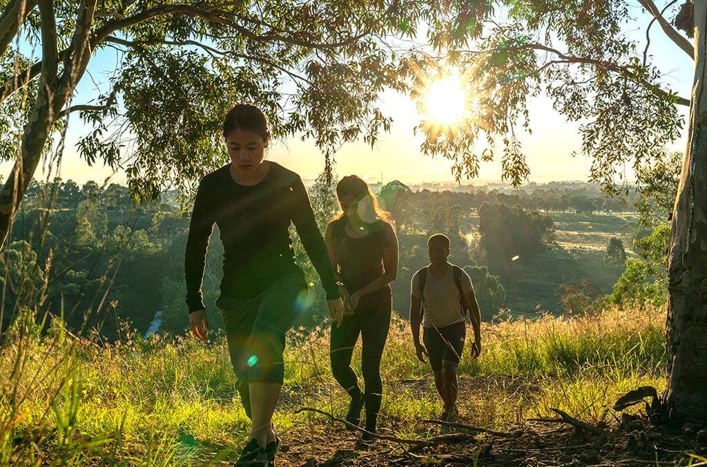 A picturesque trail flanked by trees features three people walking and soaking in the delightful surroundings.