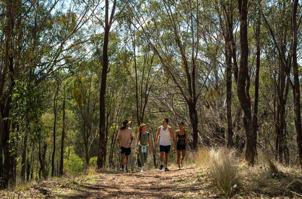 Four hikers stroll along the Spotted Gums Trail.